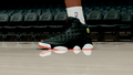Jordan 13 Playoff
