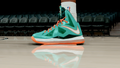 LeBron 10 Miami Dolphins