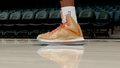 LeBron 10 Ring Ceremony PE