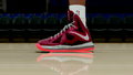 LeBron 10 Crown Jewel
