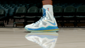 LeBron 10 Swim Cash Home