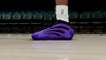 Harden 9 Year Of The Snake