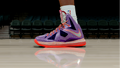 LeBron 10 All Star