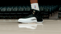 Jordan 12 Playoffs