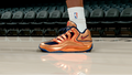KD 18 Immortalized