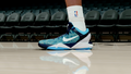 Kobe 7 Shark