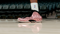 Air Foamposite One DMV Cherry Blossom